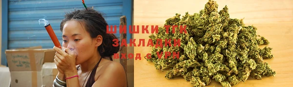 стафф Вязьма