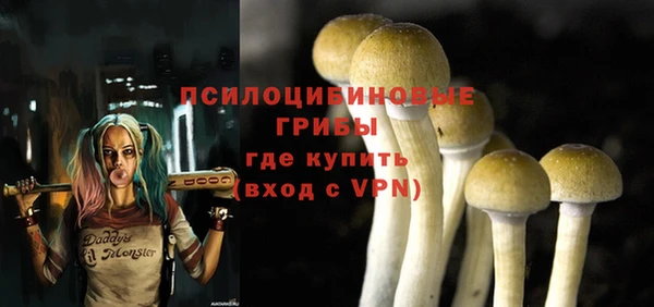 кокс Вяземский