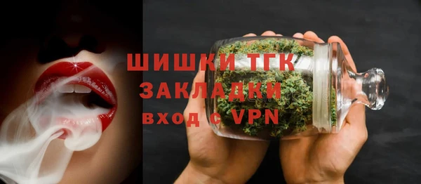стафф Вязьма