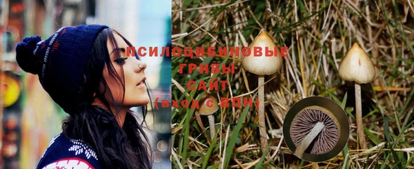 стафф Вязьма
