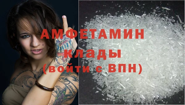 стафф Вязьма
