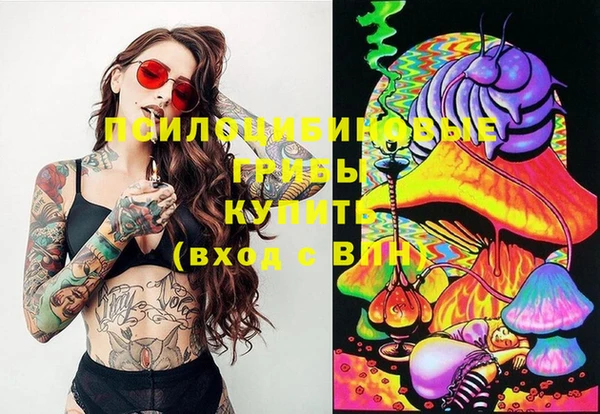 кокс Вяземский