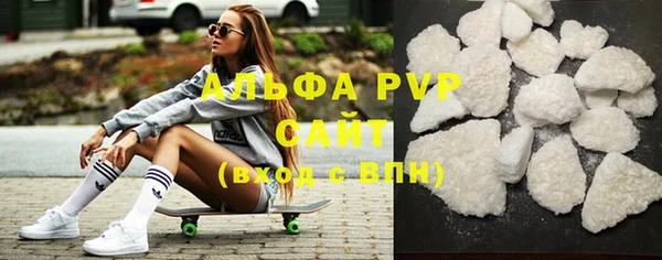 стафф Вязьма