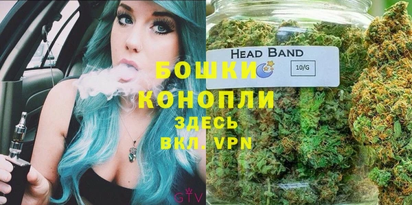 стафф Вязьма