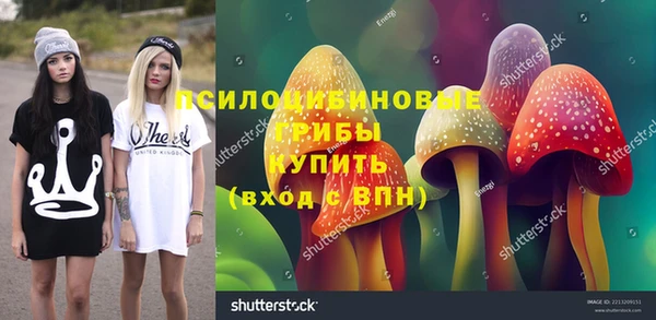 синтетический гашиш Протвино