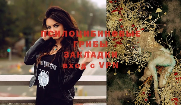 кокс Вяземский