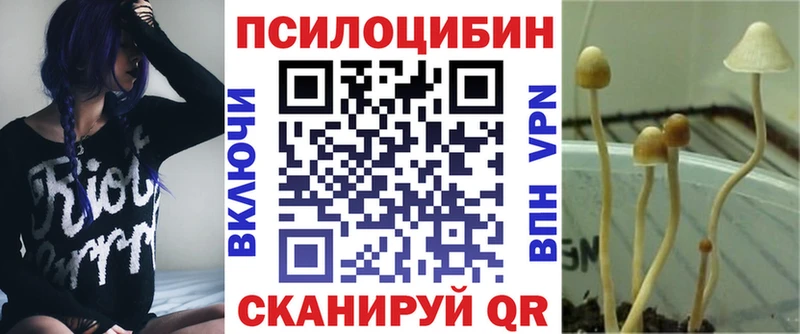 Галлюциногенные грибы GOLDEN TEACHER  сколько стоит  Миасс 