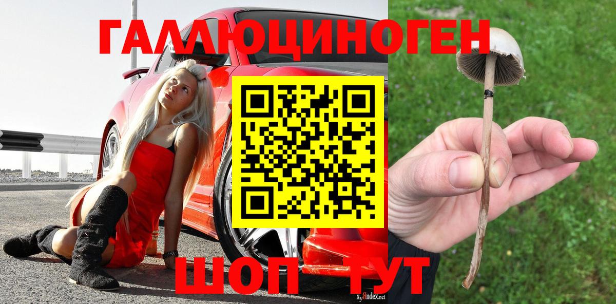 Галлюциногенные грибы MAGIC MUSHROOMS  как найти   Миасс  Вход с VPN 